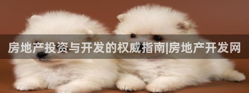 永利中国