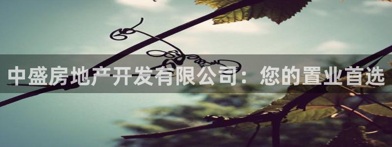 永利酒店老板是谁