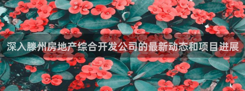 永利皮带型号说明书
