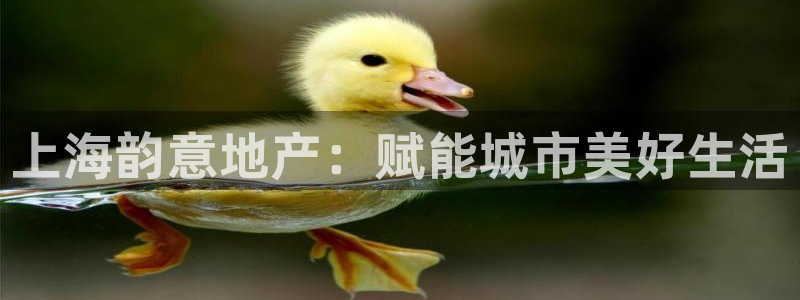 永利会员几个等级