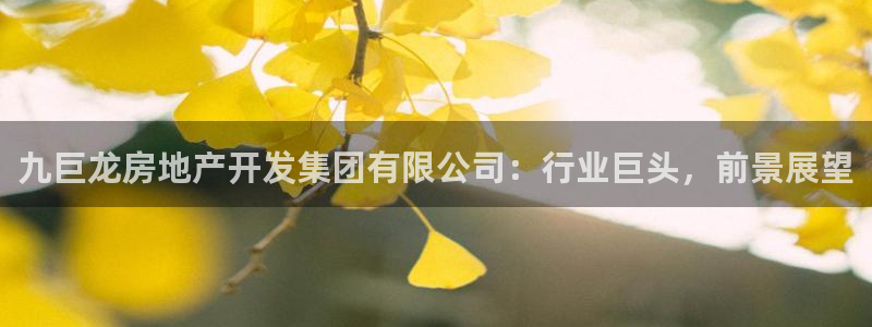 永利集团304am官方入口版