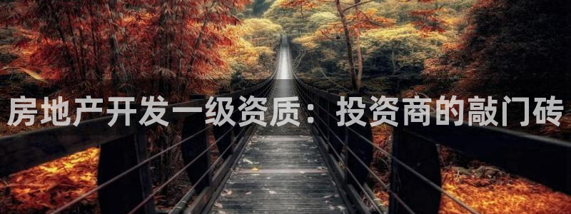 永利橡胶有限公司