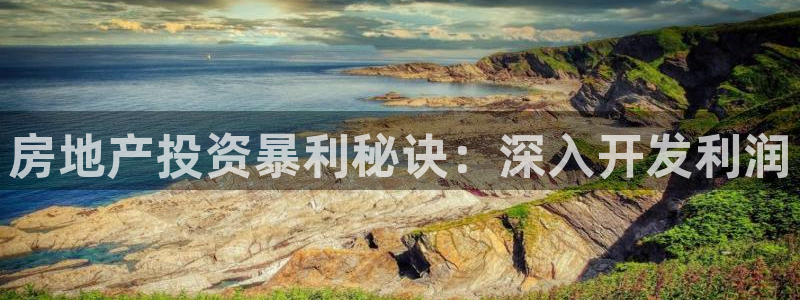 永利股份是做什么的
