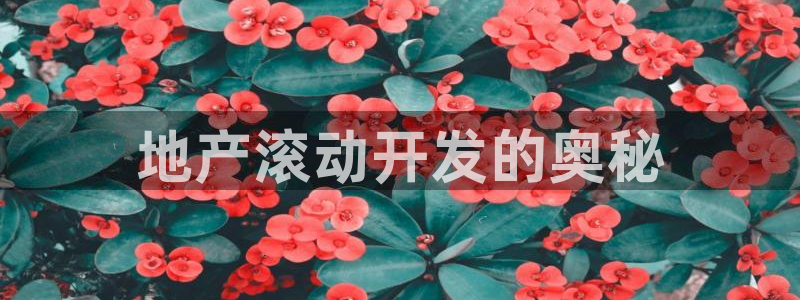 永利布业