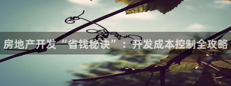 山东永利新材料