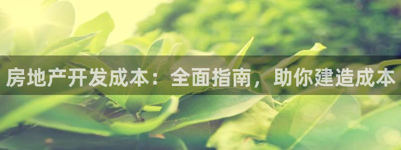 永利房地产有限公司
