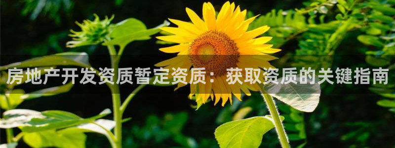 永利中国