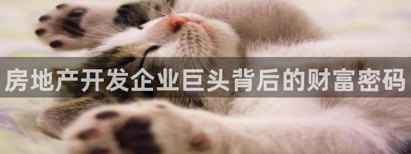 3044am永利集团官网