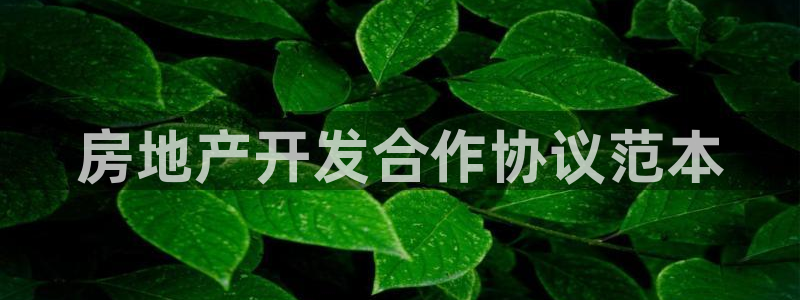 永利房地产开发有限公司