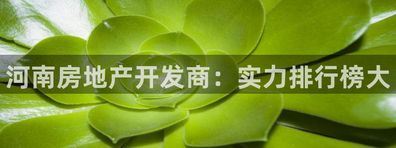 永利现场