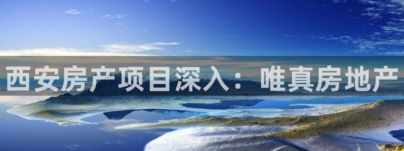 永利输的钱可以弄回来吗