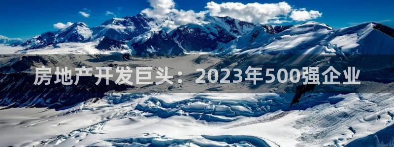 永利房地产开发有限公司