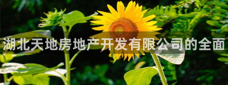 永利官方网招聘最新消息查询