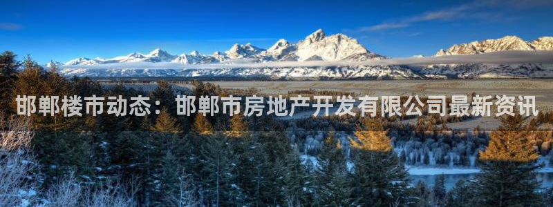 永利表行假货