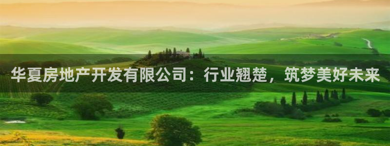鄂州永利房地产怎么样