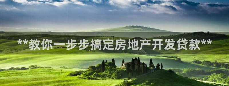 永利厂牌