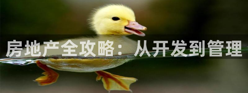 永利工程有限公司