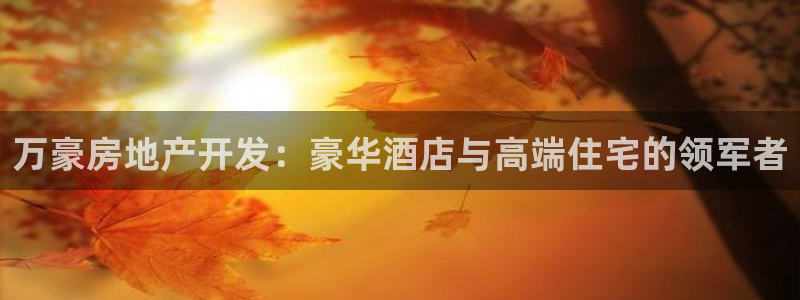 永利现场