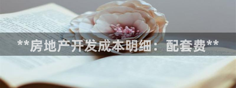 永利皮带型号说明图