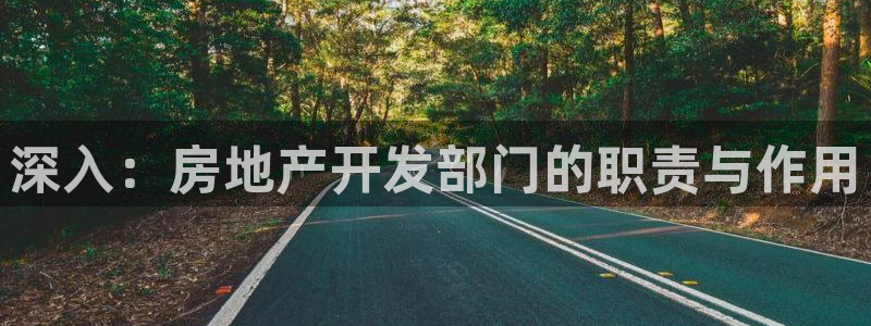 永利官网是什么