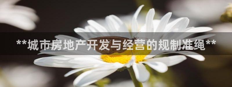永利汇茶具怎么样