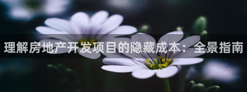 永利集团董事长什么级别