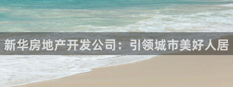 永利汇有什么服务