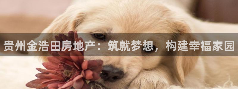 永利来织带厂