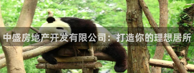 永利股份有限公司介绍