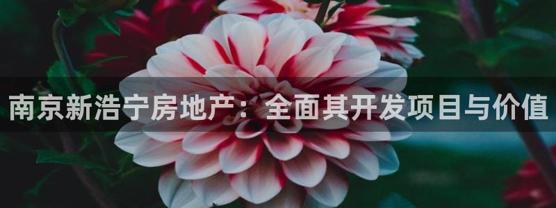 永利汇茶具官网
