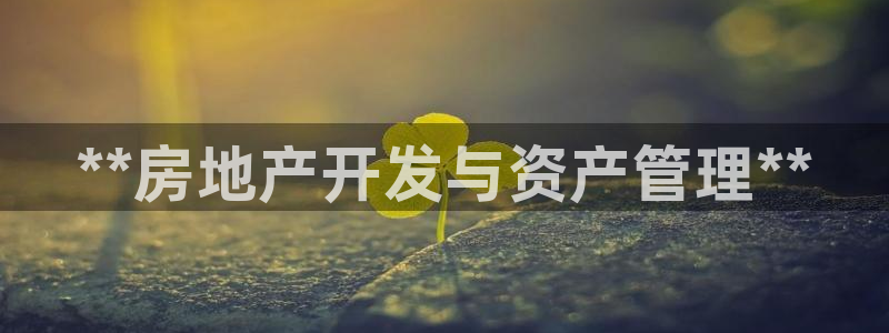 永利房地产有限公司