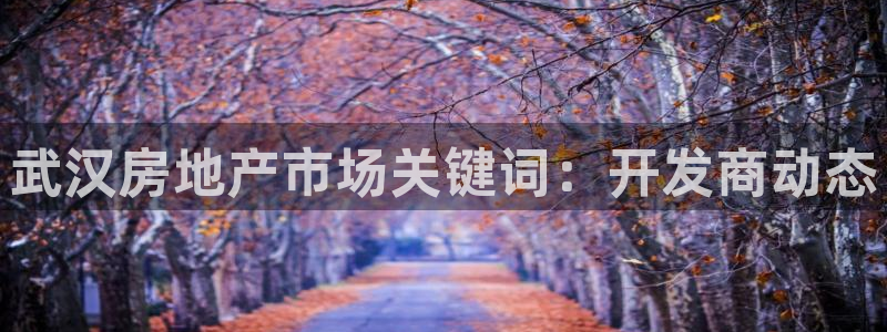 永利官网可信吗