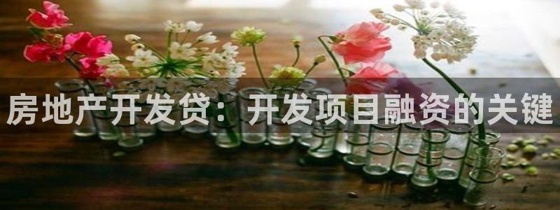 永利官网查询系统