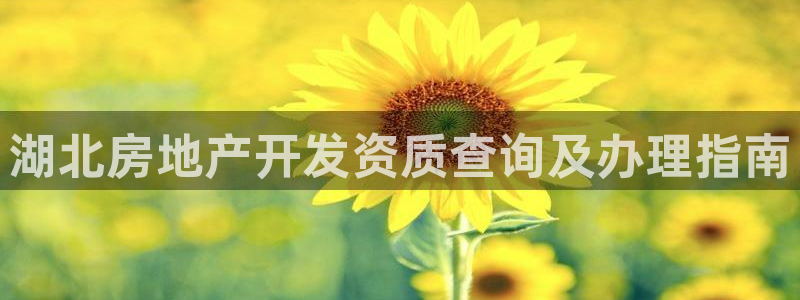 永利提款提不出来