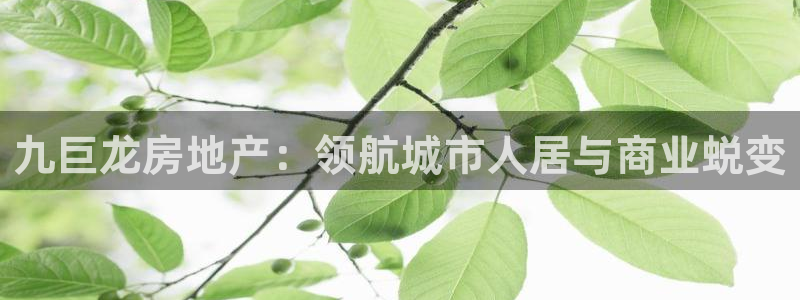 永利表行的手表是正品吗