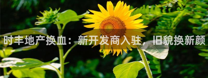 永利充值第三方交易是什么