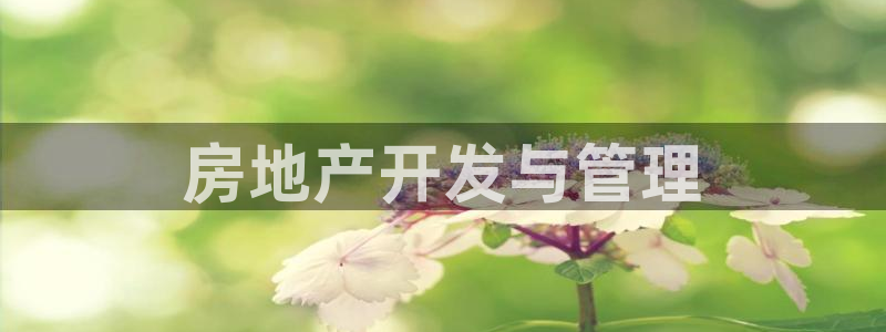 永利官网查询