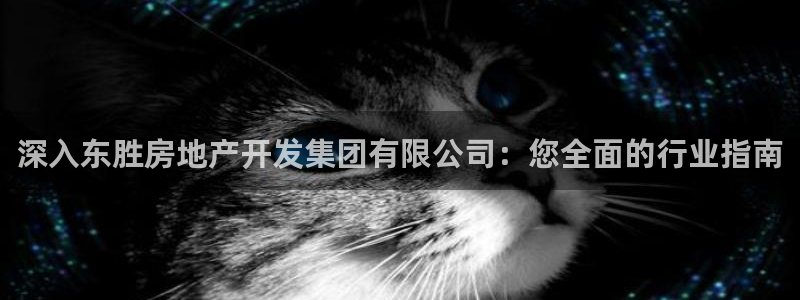 永利游乐城网址查询