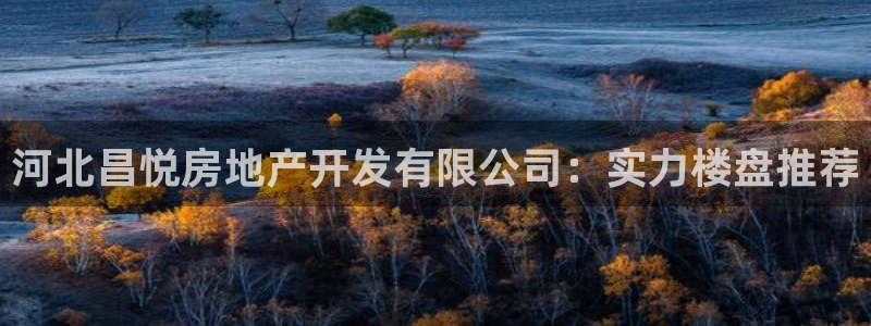 永利股份有限公司介绍