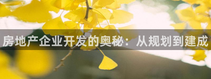 14m永利官网