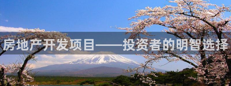 9900777z永利网