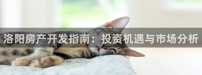 永利是啥意思