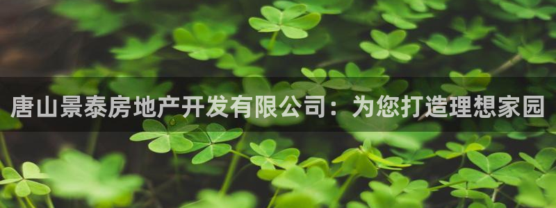 永利皮带型号说明