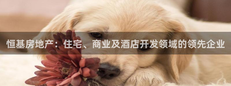 永利企业