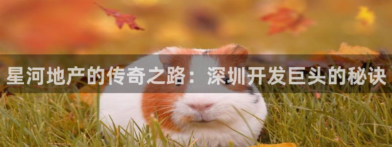 永利骗局