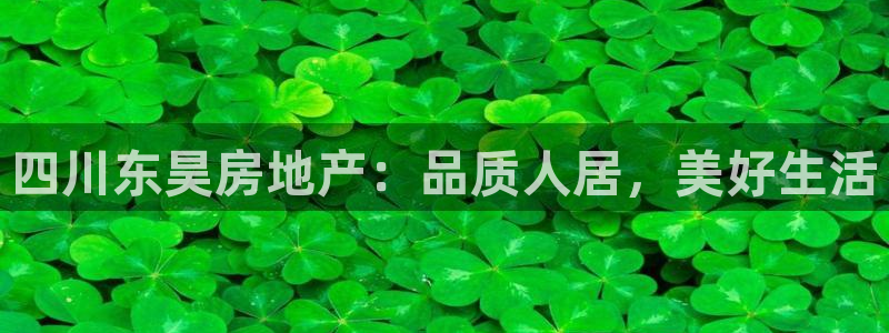 永利皮带型号说明图解