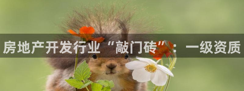 永利金文化有限公司