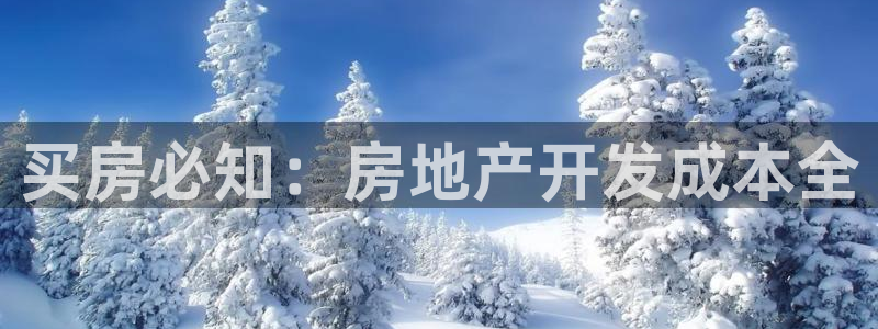 永利酒店购物