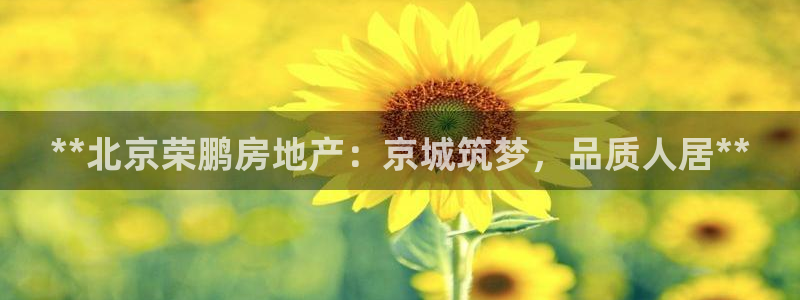 永利集团304am官方入口版