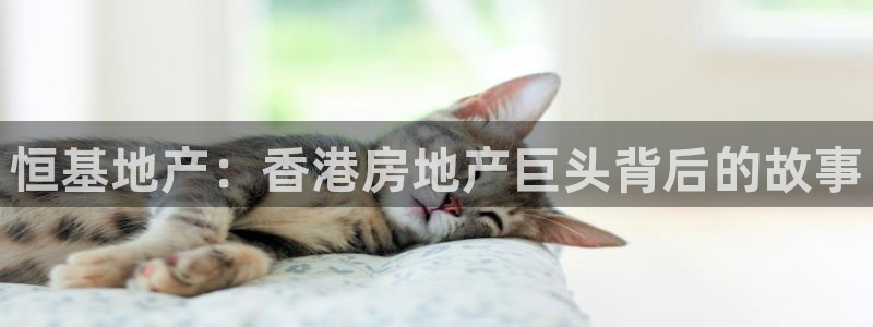 苏州金沙永利怎么样